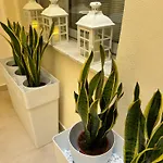 Casa Lounge Costituzione 卡利亚里
