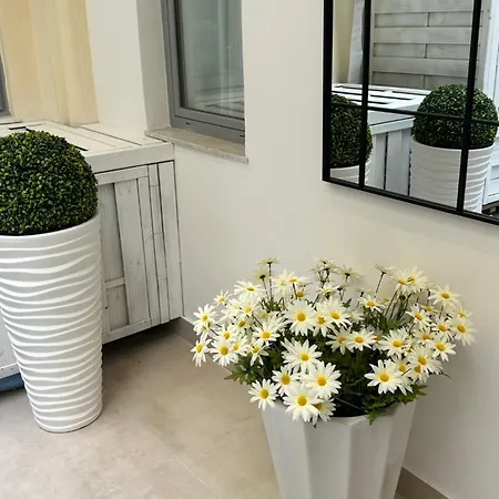 Casa Lounge Costituzione Gasthof *