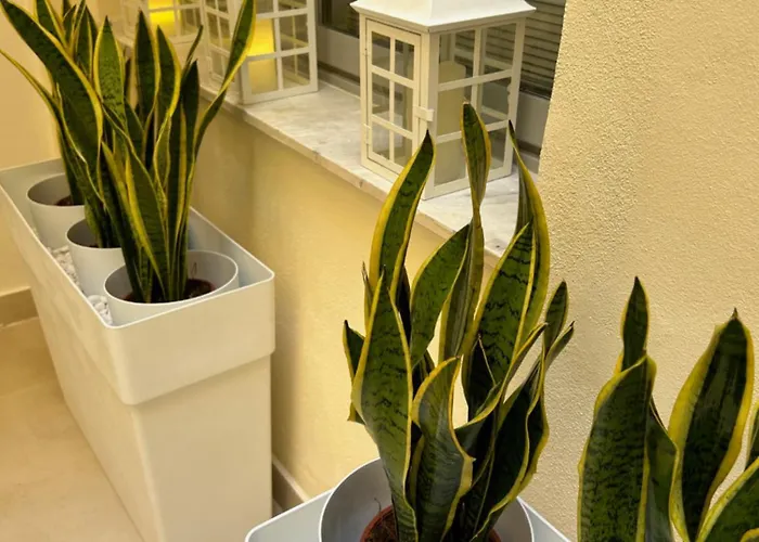 Casa Lounge Costituzione Cagliari